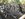 A3A17177-99DF-44BD-B195-4CFF040DF119.jpeg