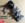 upload_2021-6-21_16-33-48.png