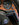 IMG_7031.jpeg