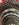 image1.jpeg