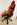 Ferrari%20%20chair012.jpg