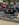 4712F9EF-742C-4E0F-89E5-8F05CB967B1B.jpeg