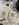 97317A38-3503-4B50-941F-3279468B17F4.jpeg