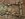 93FF9465-9088-41F9-AB27-1871F0164EDB.jpeg