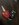 784358FE-49DC-4206-A392-4F804346BBFF.jpeg