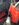 IMG_6120.JPEG