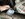 IMG_6117.JPEG
