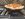IMG_3429.jpeg