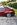 51853751489_3491ede450_3k.jpg