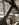 8EB1896F-DA46-4513-ABD3-8B55875F5E84.jpeg