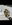 9D24A153-AFD5-4449-8717-0D946B412F3F.jpeg
