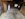 BB65B124-68C6-4531-B170-8A483FBF384B.jpeg