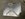 77A5B87A-6009-45FA-8D1F-7F52D7A9B1B8.jpeg