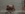 3EA7B38E-D677-4C75-BE89-CA3DCF590350.gif