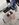 upload_2022-6-30_10-46-17.jpeg