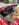 IMG_6792.jpeg