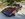 4EEC7FEF-7701-493A-A8EC-FA985B6565BF.jpeg