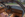 9.png