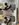 IMG_1576.JPEG