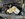 IMG_1493.JPEG