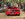 IMG_2781.JPEG