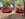 IMG_2780.JPEG
