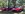 IMG_2672.JPEG