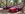 2D88BA31-C160-40FE-9AAD-8D2178CD27EB.JPEG