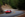 IMG_5460 2.PNG