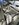 IMG_4881.JPEG