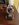 0A694462-72AA-46AE-A57F-832F90917D93.jpeg