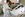 2 b-jpeg.JPG