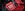 45ECC1A4-AF02-474F-9818-57A72B76CC02.jpeg