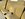 53BE0565-45BA-4C75-9596-010702EE9E00.jpeg