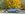 20191013_082518_HDR_resized.jpg