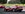 Ferrari (16).jpg