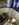 DC50DC9E-06FF-4983-8C7F-EE6E16DD237C.jpeg