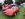 IMG_0711.jpeg