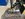 IMG_8851.jpeg