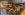 IMG_8916.jpeg