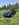 IMG_4695.jpeg
