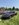 IMG_4764.jpeg