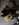 DE891E6A-1DE8-4D05-B9B3-0BE79E8C061C.jpeg