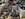 IMG_8306.jpeg
