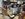 IMG_8305.jpeg
