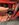 IMG_1343.jpeg