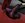 IMG_1330.jpeg