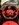 IMG_1112.jpeg