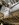 IMG_0883.jpeg