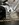 IMG_0882.jpeg